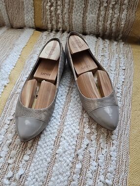 Calvin Klein Edona Snake Print Pointed-Toe Cap-Toe Flats